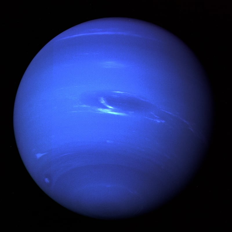 Neptune Dessert